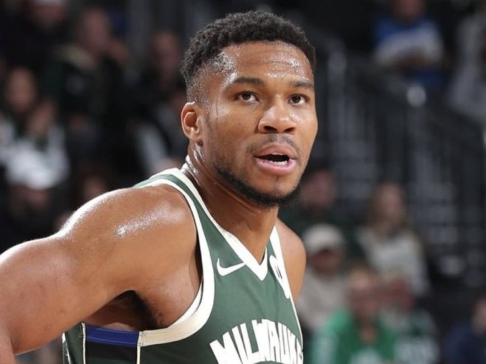NBA／塞爾提克搶字母哥 Giannis！除塔圖姆外全員可交易，杰倫布朗命運成焦點