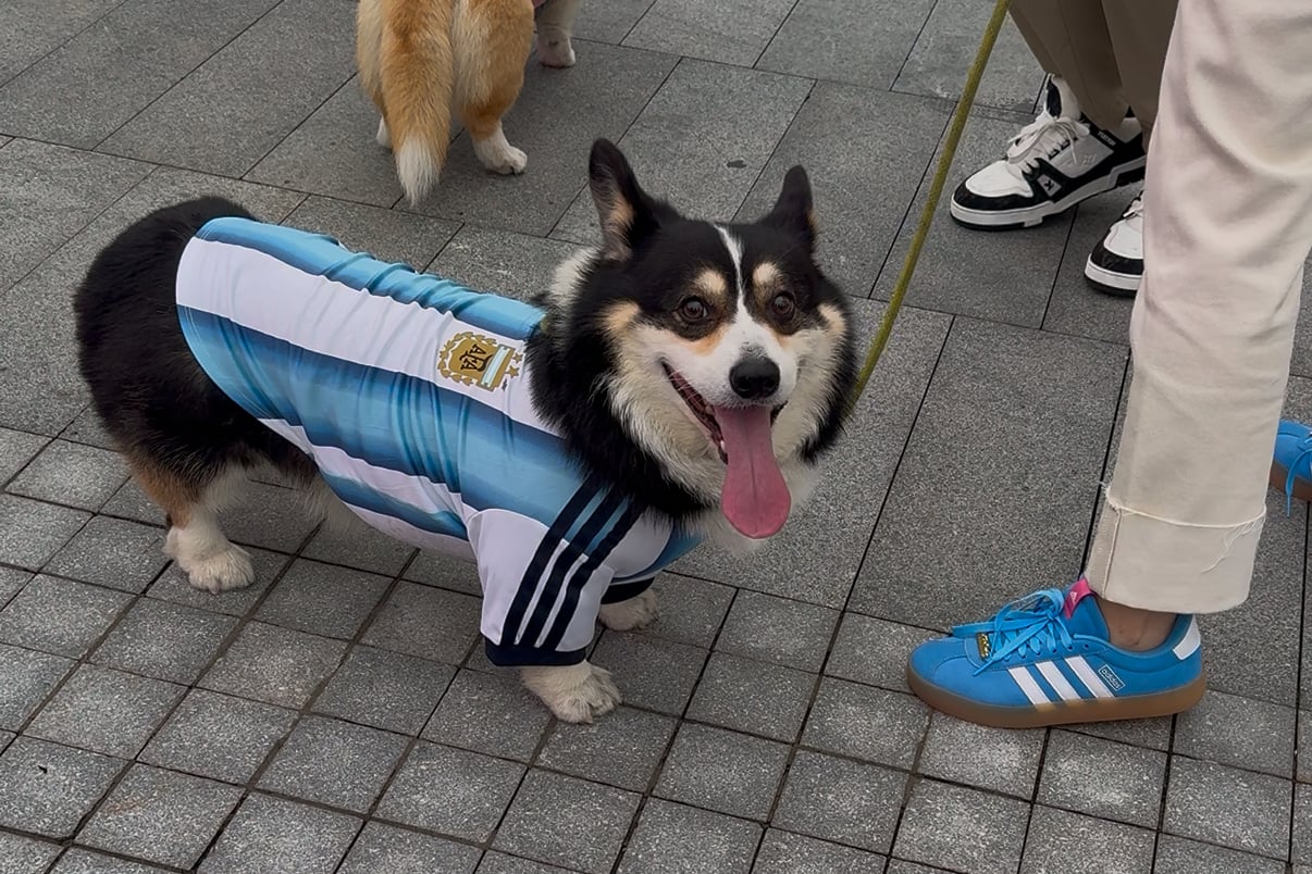 adidas 世界盃上海「傳奇野場」五大亮點回顧!梅西之屋致敬阿根廷傳奇、3v3 野球開放場超熱血激烈!