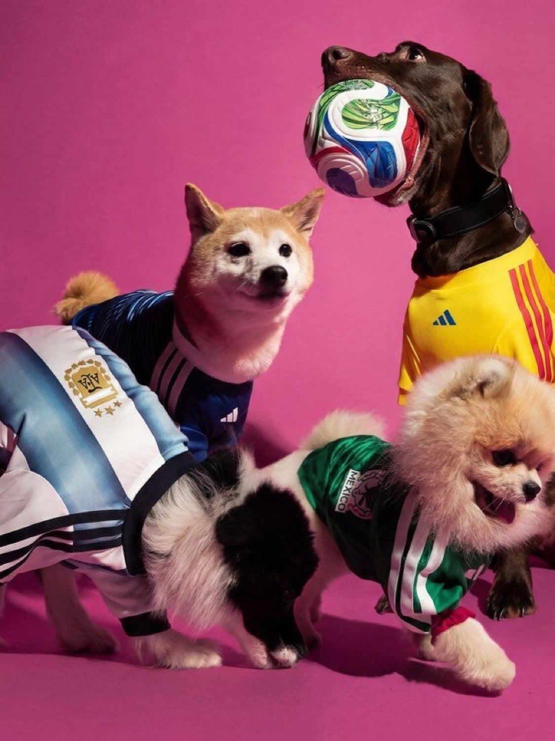 adidas 世界盃上海「傳奇野場」五大亮點回顧!梅西之屋致敬阿根廷傳奇、3v3 野球開放場超熱血激烈!