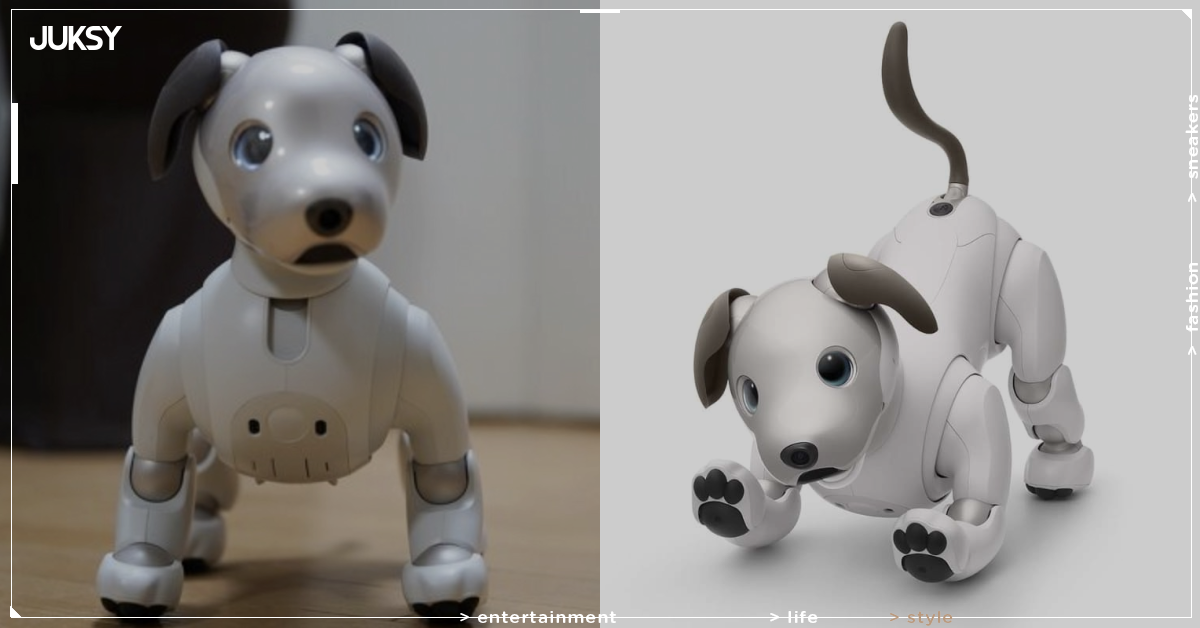 索尼 aibo 宣布日本停售！陪伴主人 27 年的機器狗走入歷史，售後服務仍持續！