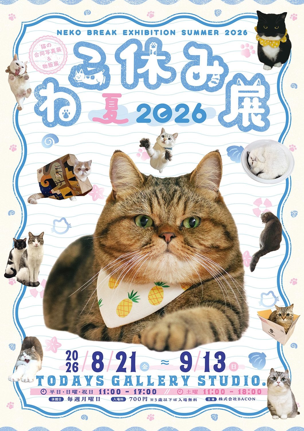 日本人氣貓咪寫真展「ねこ休み展 夏 2026」東京浅草橋登場！新作首展＋限定周邊搶先看