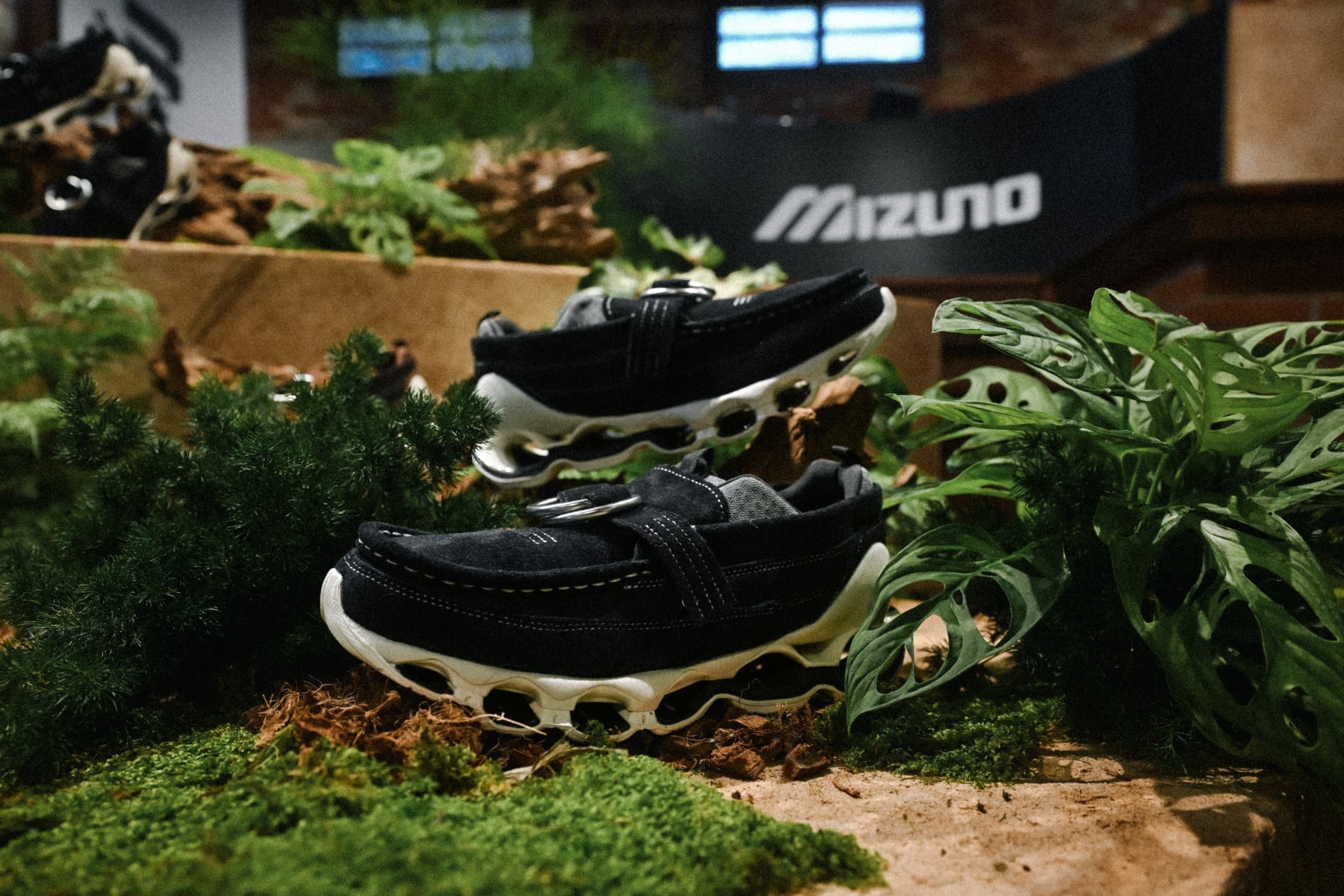 Mizuno WAVE PROPHECY RING MOC 小林節正台灣發售公開！美津濃鞋王再度來襲！
