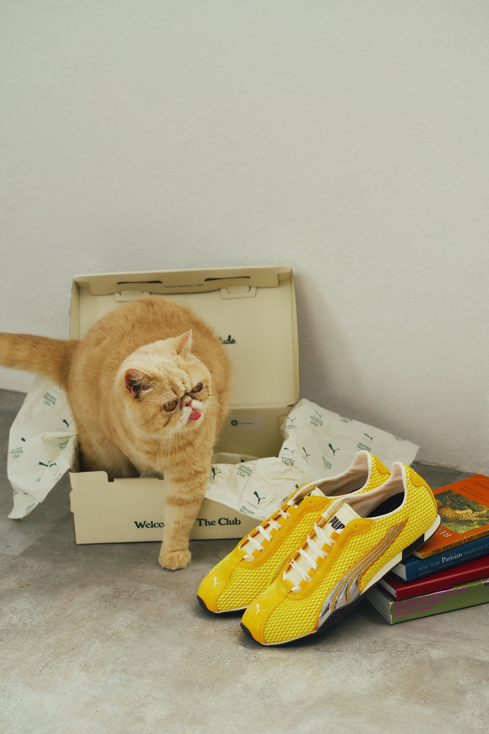 解除「滿檔焦慮」!PUMA x MondaySleepingClub 聯名系列登場!把生活的節奏與主導權,優雅地穿回自己身上,歡迎加入週一睡覺俱樂部