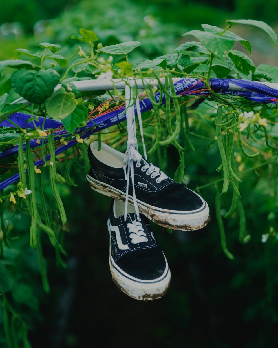BEAMS 重新詮釋 VANS 經典鞋款！「ERA95 GORE-TEX」與「SKOOL ERA」台灣同步日本登場