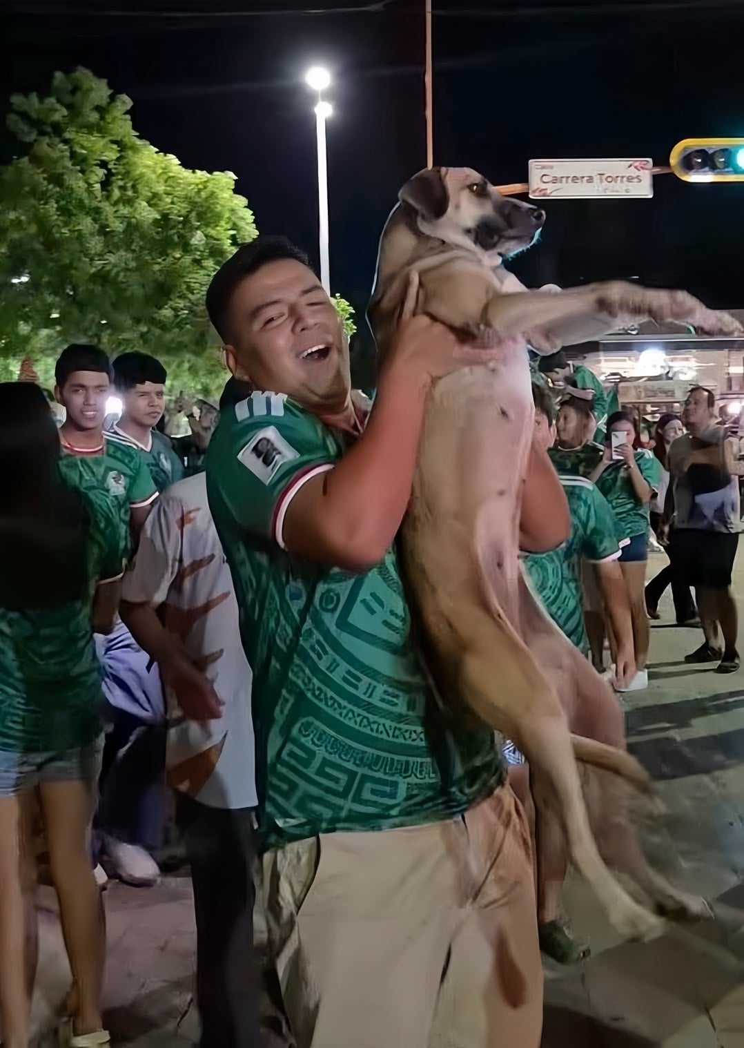 世界盃竟成尋犬成功現場！西班牙女子丟失愛犬在直播中成功找回全網驚嘆！