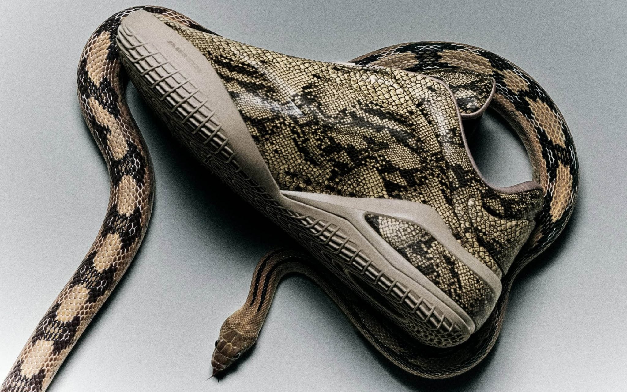 2026 年 7 月球鞋推薦：NB 9060 Summer 在台上市！adidas Jellyfish、BEAMS x Vans 聯名不容錯過（不斷更新）