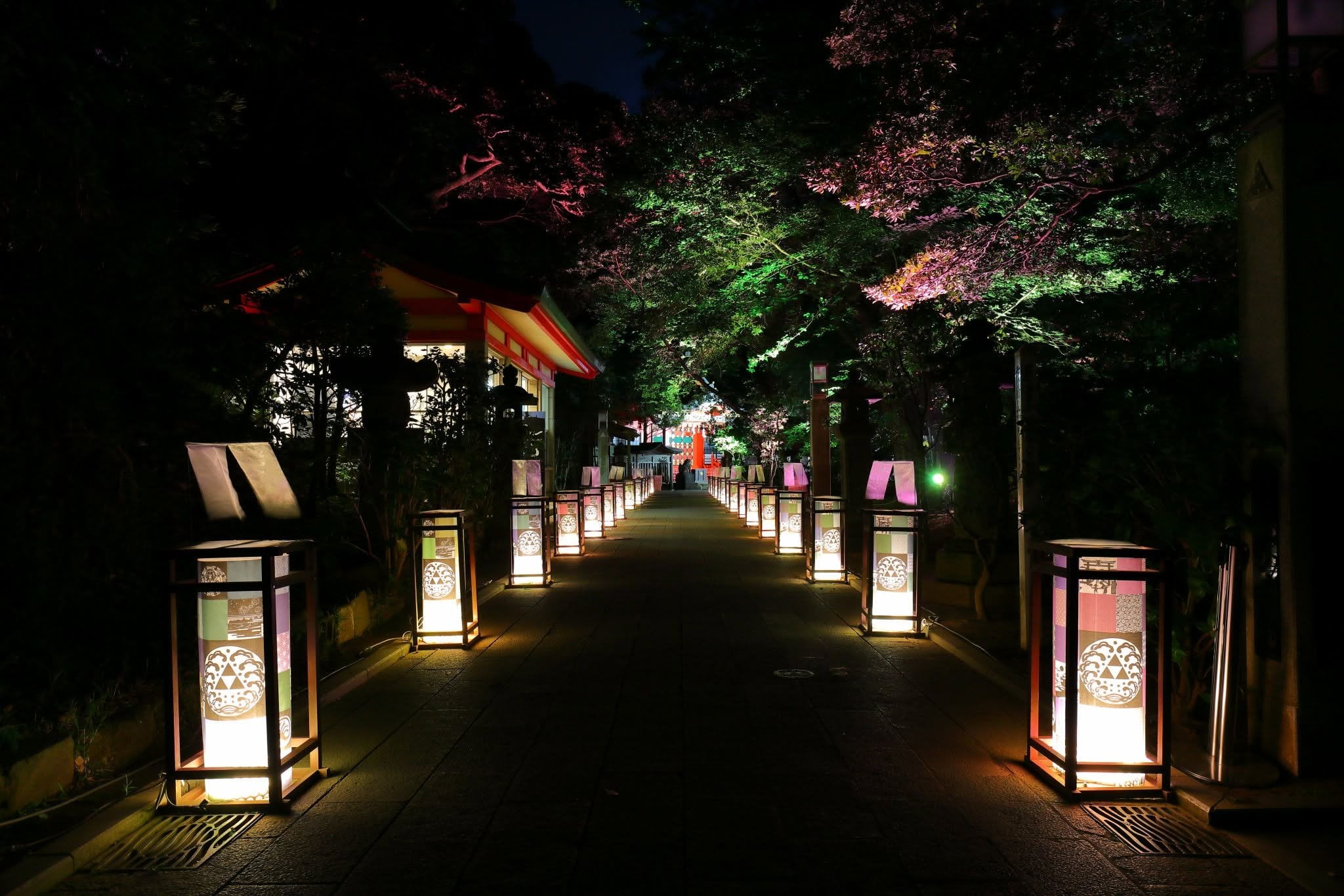 江之島燈籠祭2026夏日登場!1000基燈籠點亮夜空,5米巨型燈籠與貝殼風鈴超夢幻