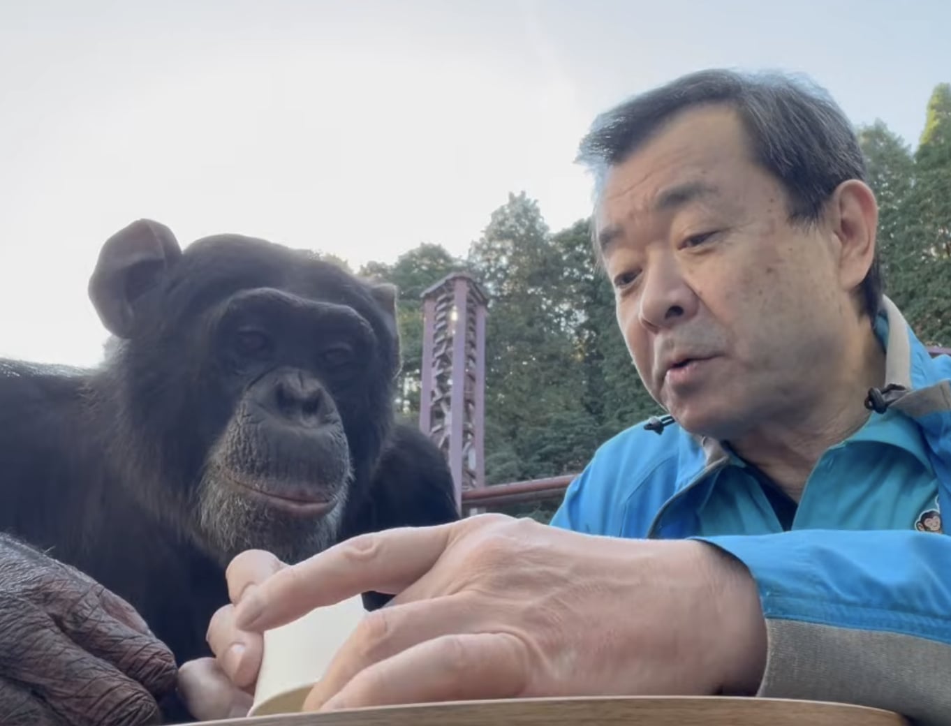 《狗狗猩猩大冒險》小龐近況曝光！20 年後早已升格當爸定居熊本！