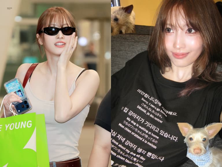 TWICE Momo 手機殼藏寶可夢稀有卡！網搜驚見市值近 7 萬：「真不愧是平井桃！」