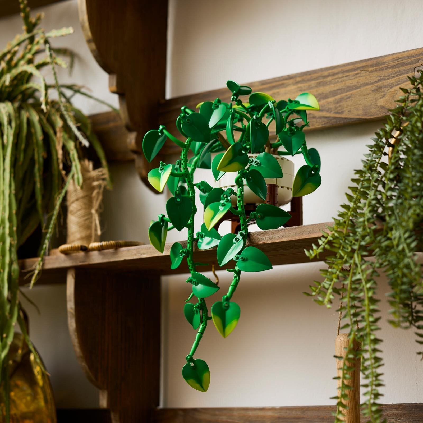 樂高大人系列推秋冬花卉新品!向日葵、楓葉、波斯菊8月登場,枯不凋的質感佈置