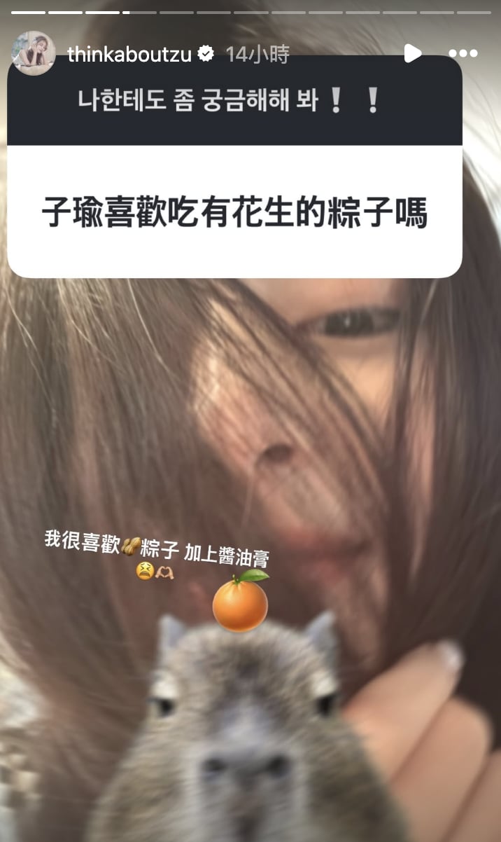TWICE 子瑜 IG 問答曝私下飲食喜好!花生粽加醬油膏引南北論戰!