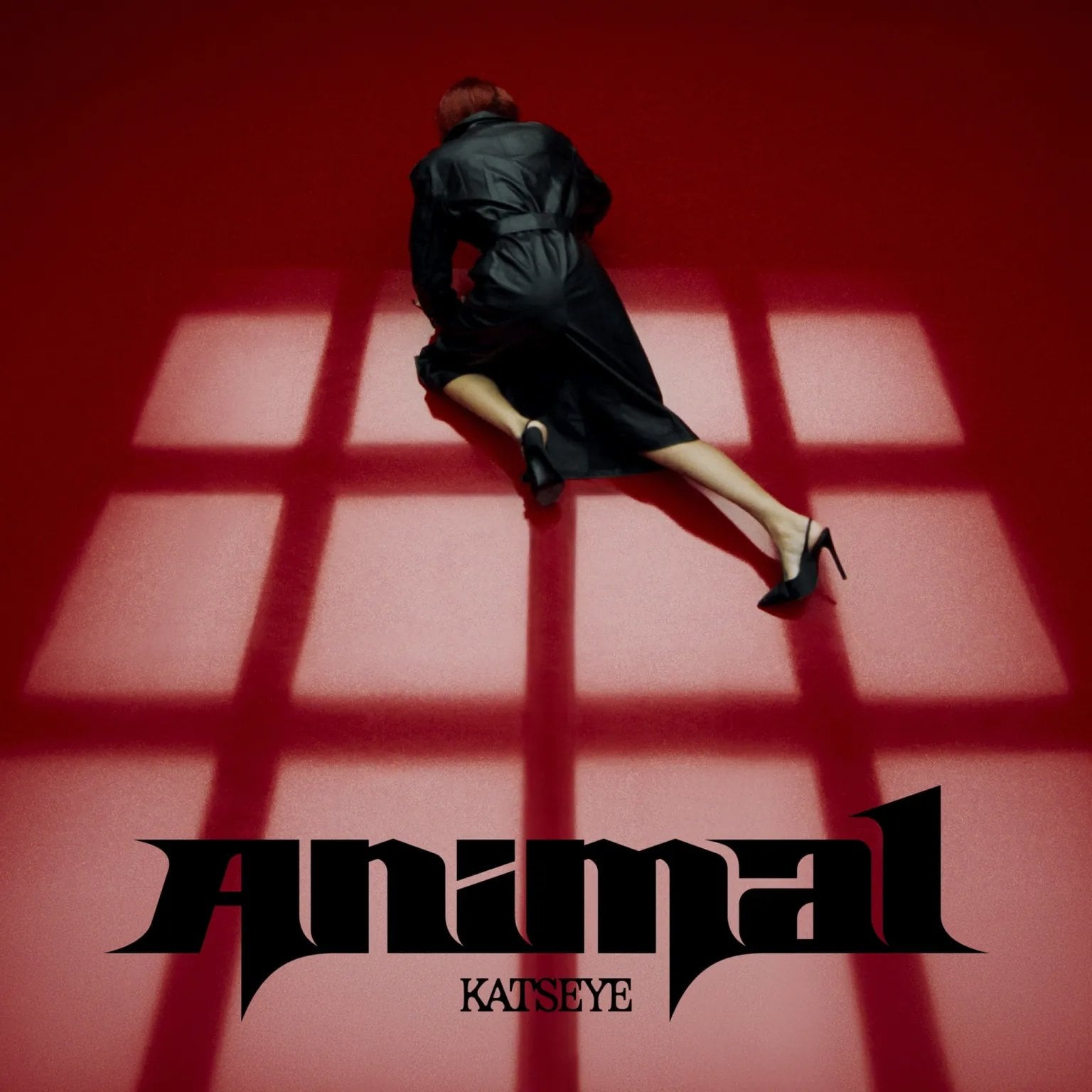 黛咪摩爾客串KATSEYE《Animal》MV!30年來首度音樂錄影帶演出,變身時尚顧問狂評成員穿搭!