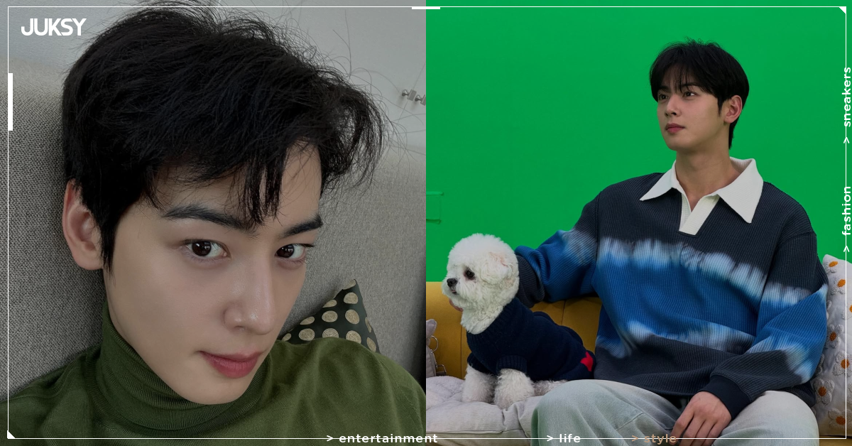 車銀優 Cha Eun-woo 證實接演《暴君的廚師2》!接棒李彩玟、潤娥 17.1%收視神話能否延續?
