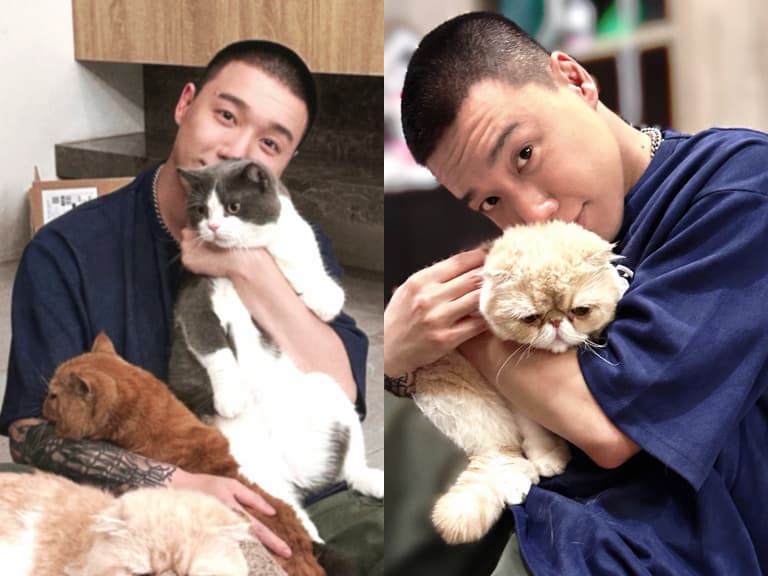 Toyz 假釋出獄了？Threads 突然更新平頭照，網友暴動：「椅子哥要出來了嗎？」