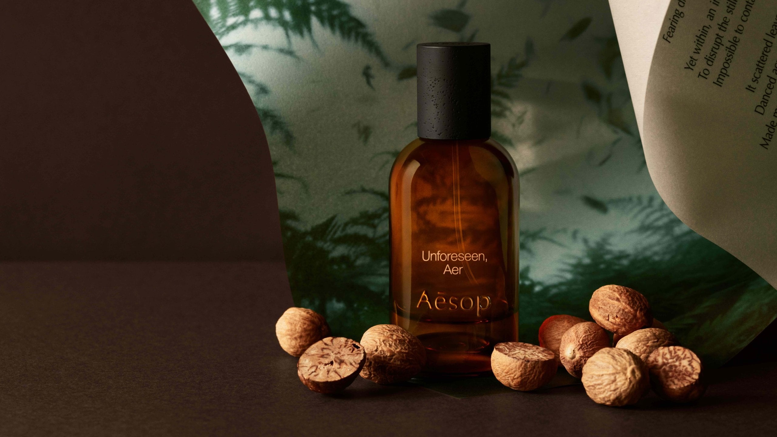 Aesop