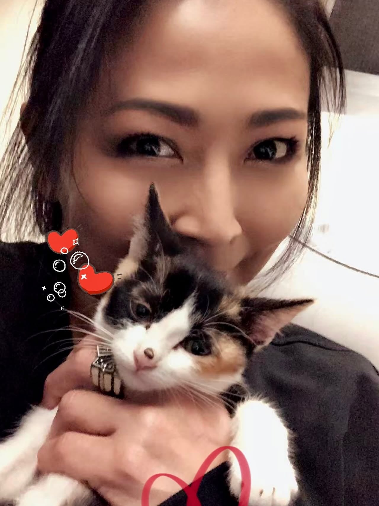 林曉培 Shino 睽違5年宣布有伴了！收編流浪貓當女兒 童年往事曝光惹鼻酸