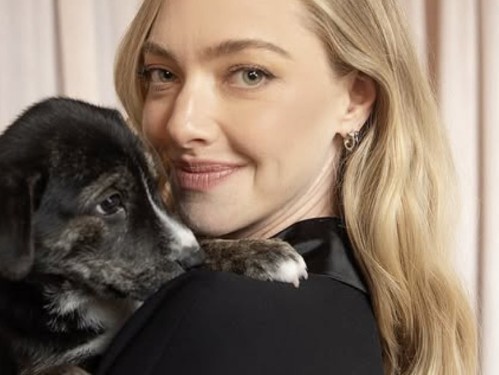 亞曼達塞佛瑞 Amanda Seyfried 閃離老公！9 年婚姻曝分居內幕，聲明曝光！