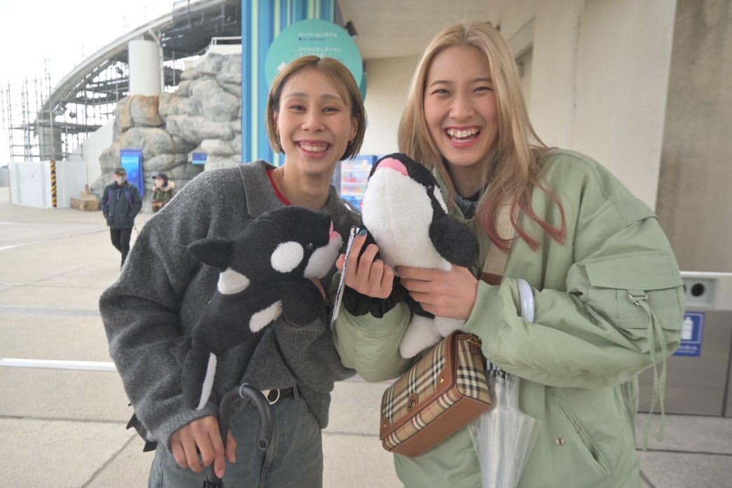 亞運女排決賽日本對戰中國!睽違48年金牌夢 佐藤淑乃、和田由紀子雙王牌出征