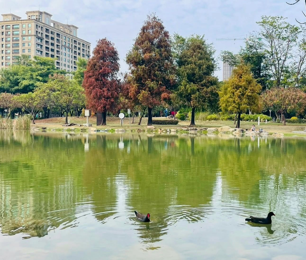 2026 高雄旅遊必去景點推薦！打卡地點、交通位置、夜市美食一次看！