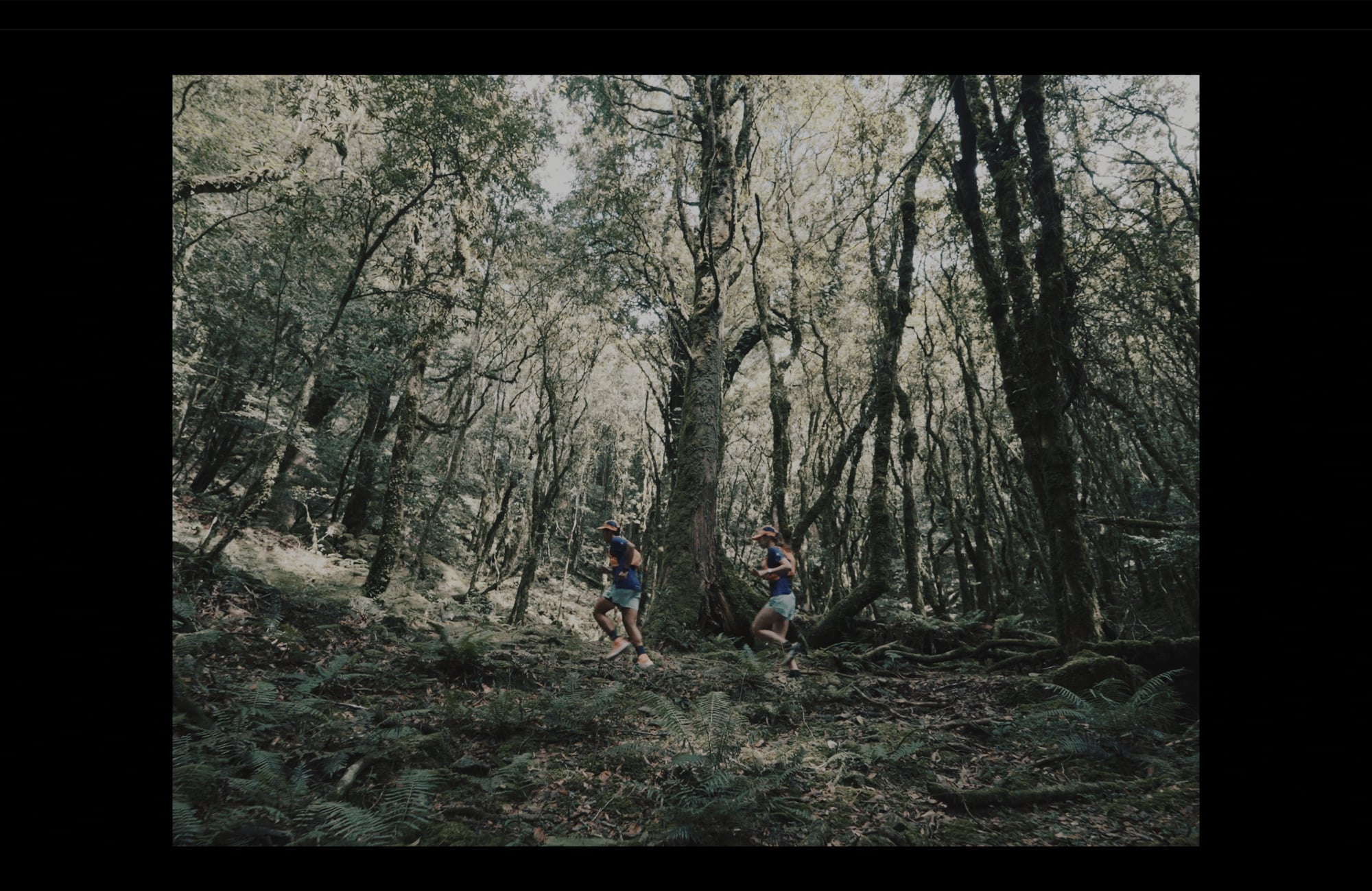 越野跑/TNF100 谷關站 2027 年登場!Peeta 葛格、沈珈妤 Kaii 首挑戰⋯爬升 3,740 公尺直逼百公里級別!