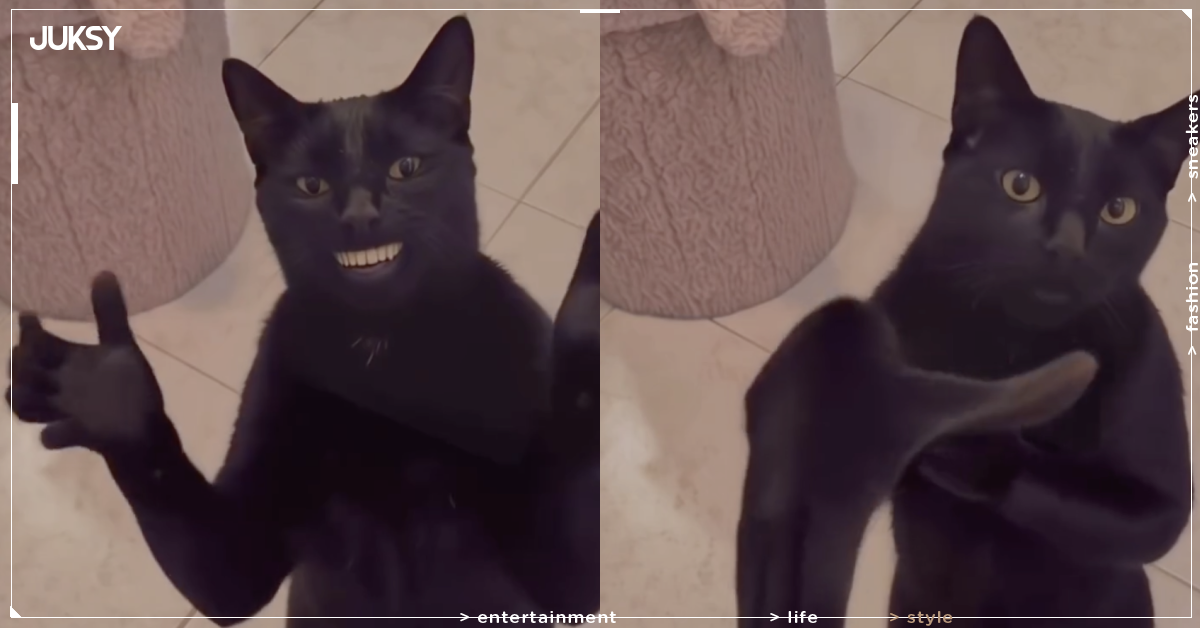 最近狂洗版的「拍手黑貓」是什麼?Clapping Cat 爆紅迷因起源、AI 黑貓原作者一次看