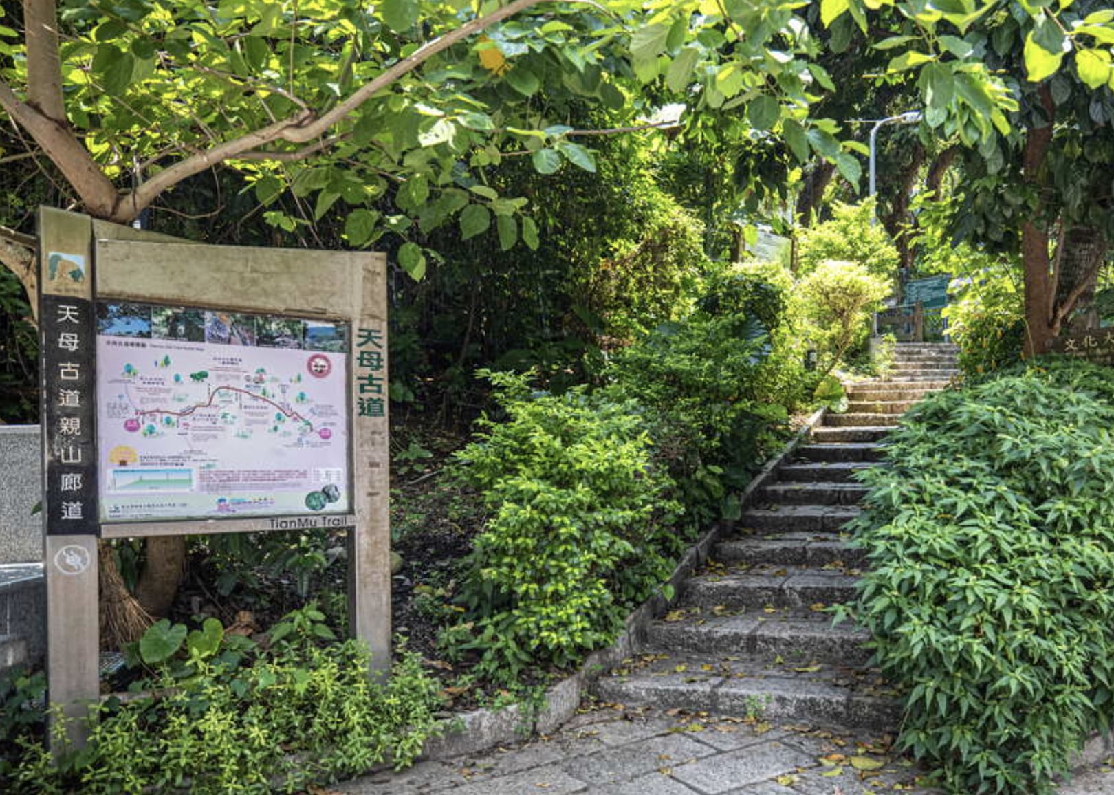 台北登山步道 5 大推薦！捷運交通、位置、步行時間一次看！