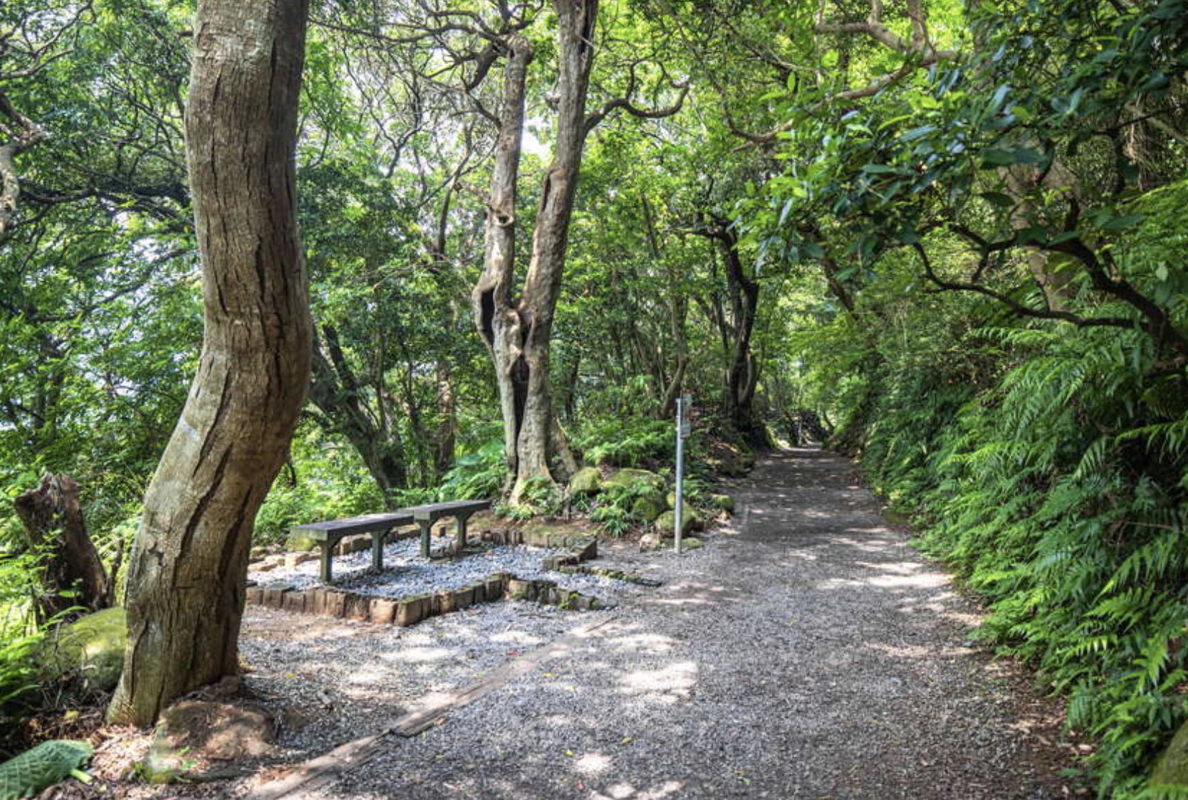 台北登山步道 5 大推薦！捷運交通、位置、步行時間一次看！