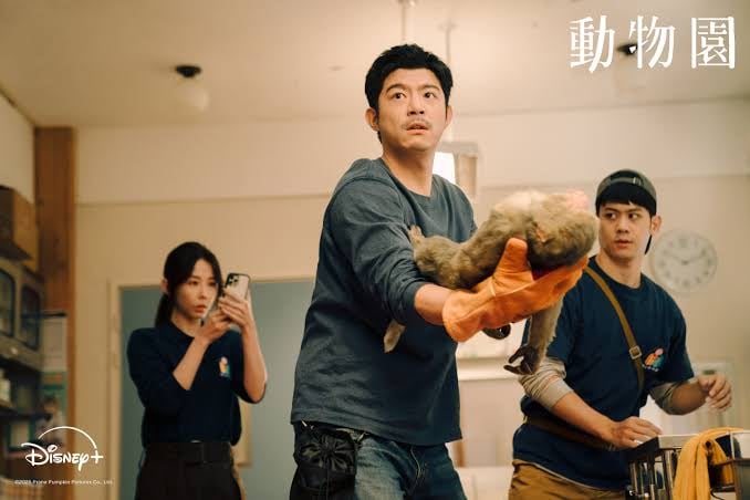 盤點Disney+又一話題犯罪台劇《郵票與舒芙蕾》5大看點!那些社會的黑暗面,你真以為是編的?