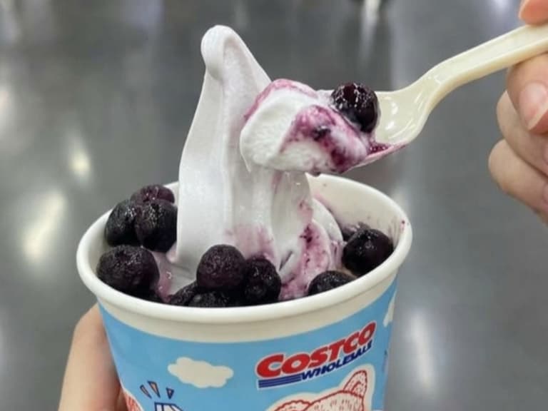 Costco 好市多藍莓霜淇淋好吃嗎？價格、口味一次看！