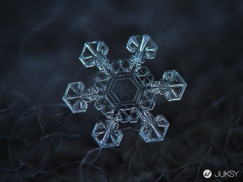 雪花結晶竟然能夠如此令人驚嘆 讓俄羅斯攝影師用微距告訴你 Juksy 街星