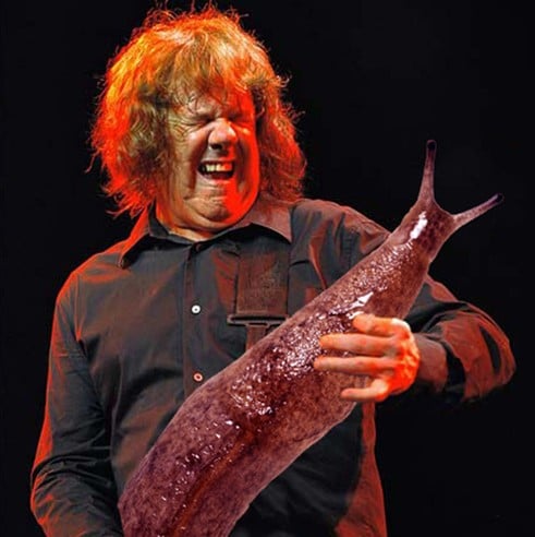 毫無違和感的表情啊！　利用PS把吉他手的琴變成蛞蝓吧！