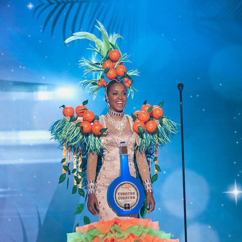 2015 年環球小姐大賽中獲取前 20 名資格的佳麗們  展現了最讓人「不知道從何說起」的特色服裝...
