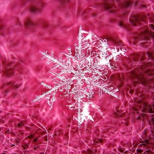 這些真的是手機拍的嗎　Flickr 最受歡迎的 25 張相片