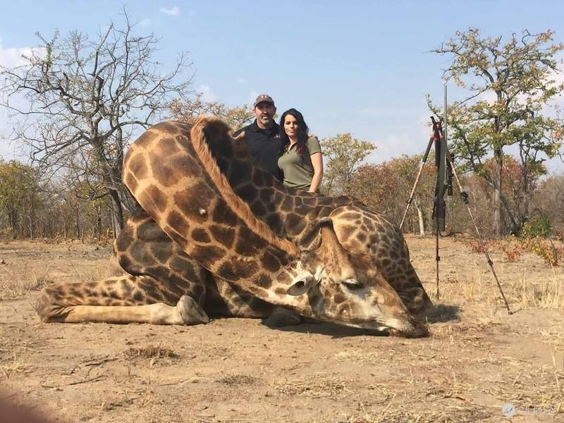 女獵人射殺長頸鹿還合照聲稱 牠是非常危險的動物 Juksy 街星