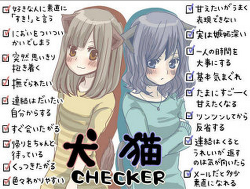 妳是貓派女還是犬派呢 如果要戀愛超過半數的男生反而都會選擇 Juksy 街星