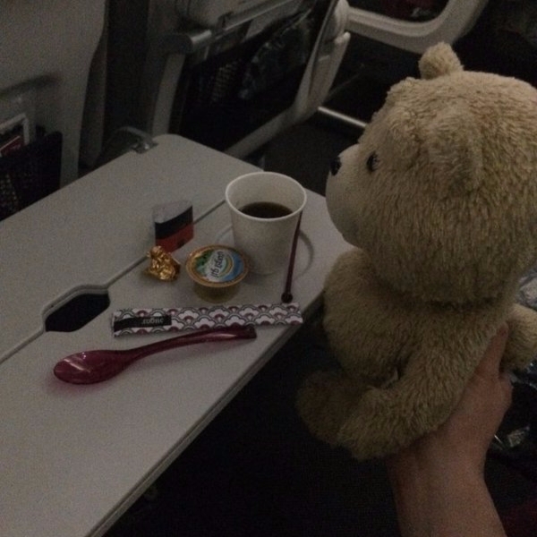 溫暖的空姐！她帶娃娃坐飛機　結果 Ted 玩偶也有一份餐