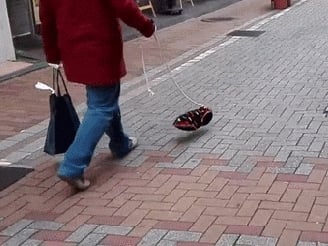 日本街頭出現遛「隱形狗狗」的神秘男人　背後究竟是什麼秘密？