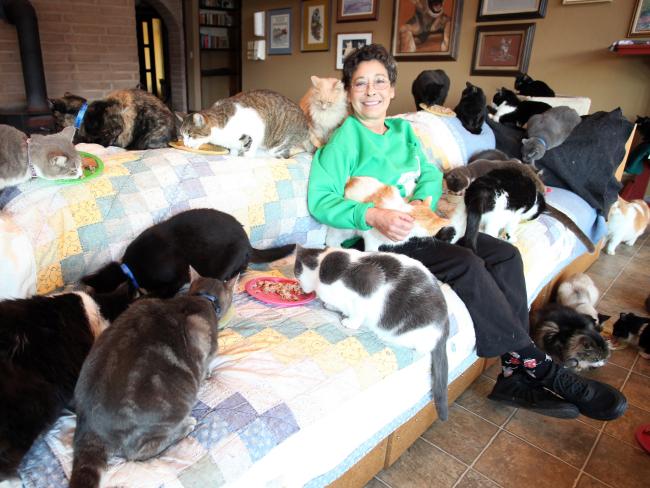 真貓奴！在家中飼養超過 1000 隻貓咪的女人成為網路紅人！