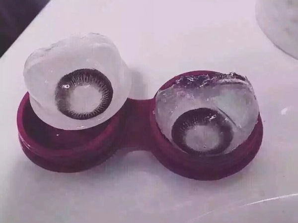 寒天注意！日本網友一覺醒來　竟然發現這樣的悲劇...