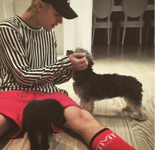 小賈斯汀再擁新寵物　瘋狂曬愛犬萌照！