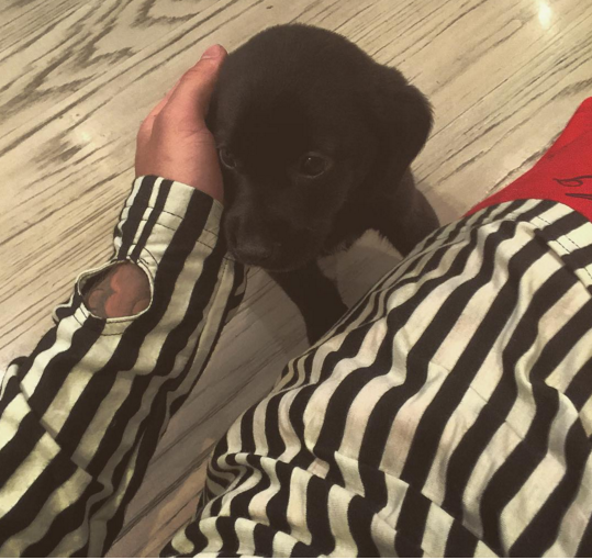 小賈斯汀再擁新寵物　瘋狂曬愛犬萌照！