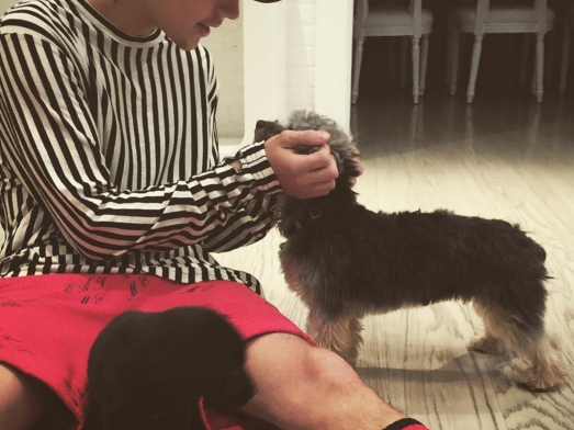 小賈斯汀再擁新寵物　瘋狂曬愛犬萌照！