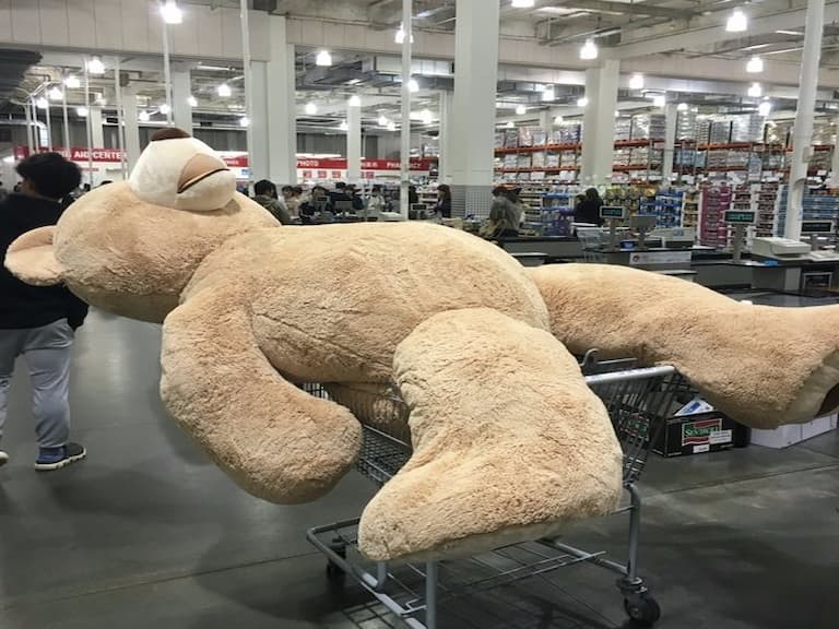 開車如何順利載回 Costco 巨熊？他想到這個超爆笑的妙招！