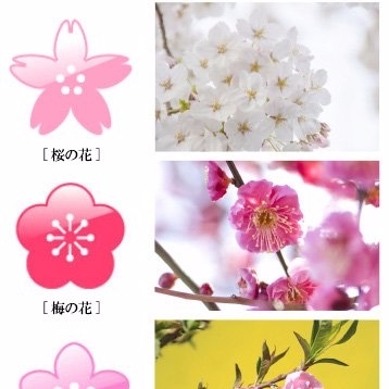 總是說錯花名？日本網友教你簡單分辨梅花、桃花、櫻花的方法！