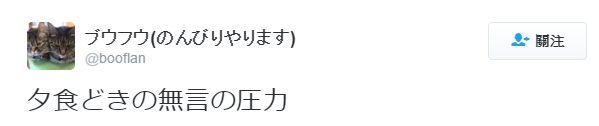 日本記者採訪「工作累了嗎?」 貓咪回應的表情太逗趣!