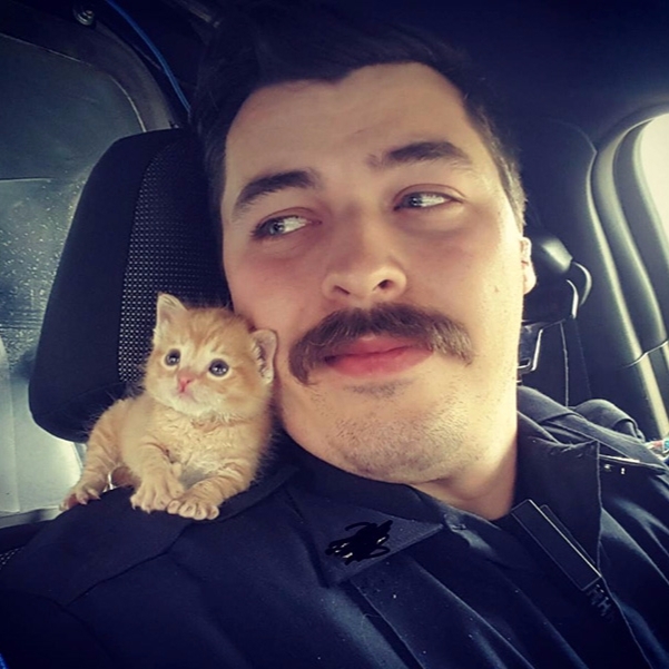【萌寵特輯】這名警察大雨中拯救了小貓咪　讓他開始成為貨真價實的「貓奴」！