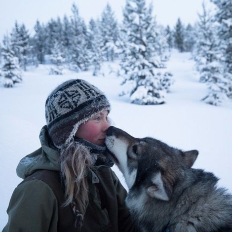 【萌寵特輯】地球上最美的風景　女孩與她的 85 隻雪橇犬！　