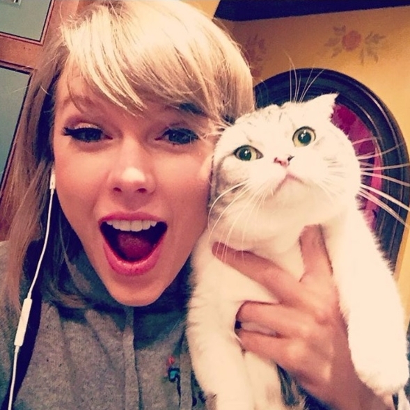 【萌寵特輯】泰勒絲與愛貓的日常照曝光　男網友：不想當人了！