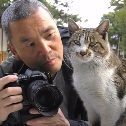 【萌寵特輯】貓咪攝影師岩合光昭　10 個拍攝街貓的小秘訣