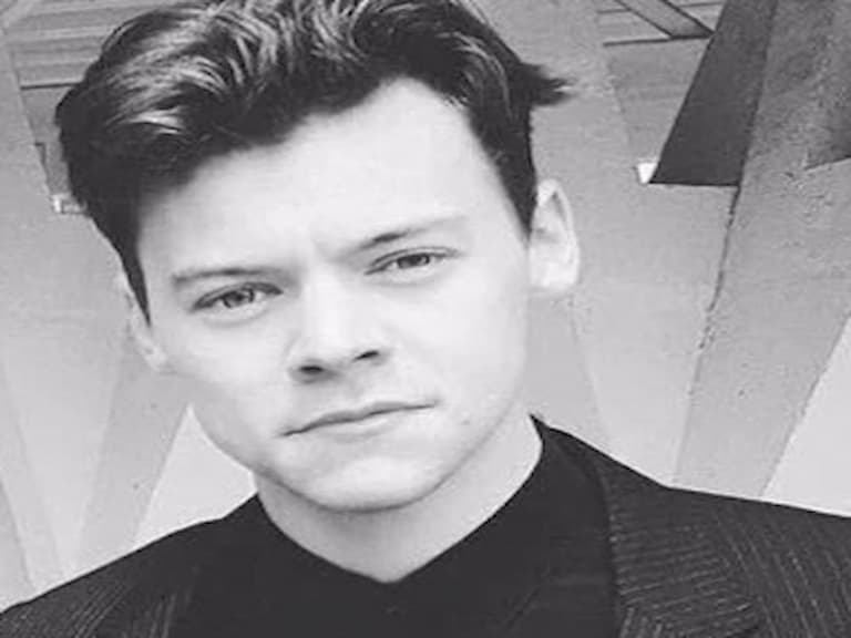 一世代 Harry Styles 短髮形象照曝光 除了帥還是帥!